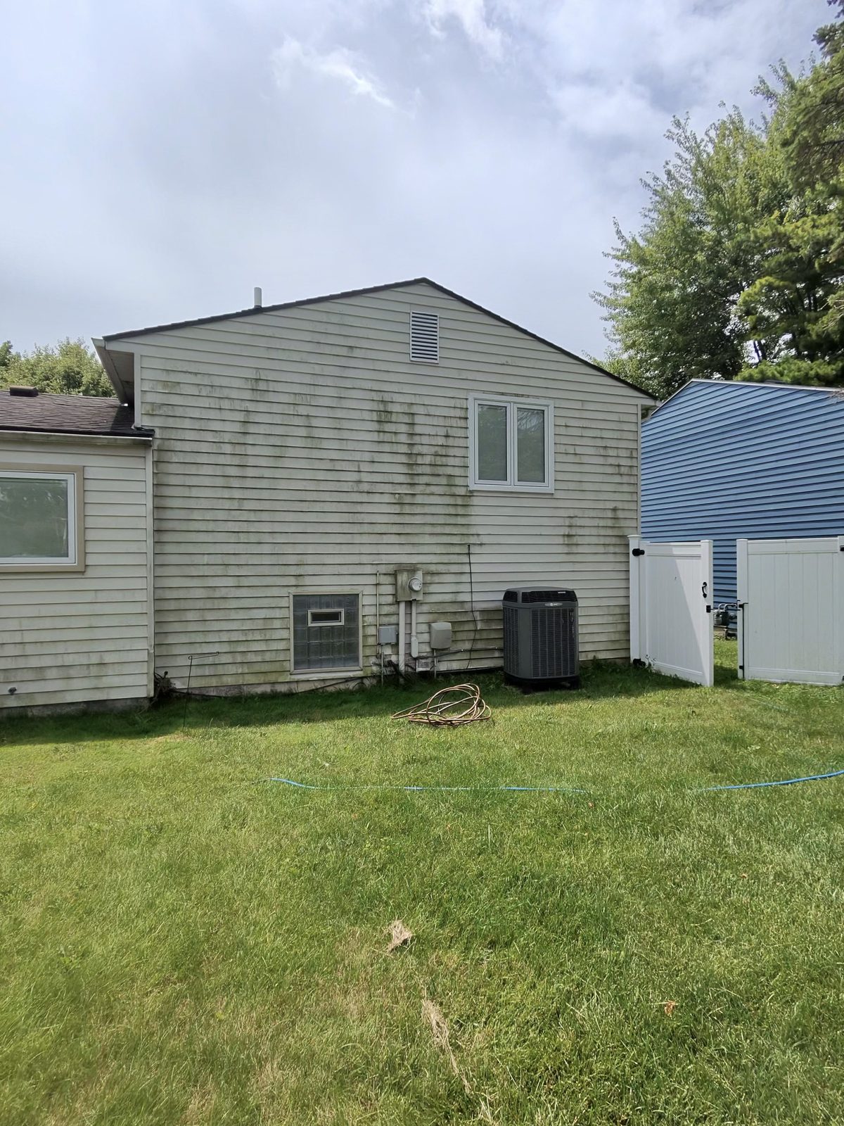 Back of house siding before soft washing — heavy green algae and mildew streaks